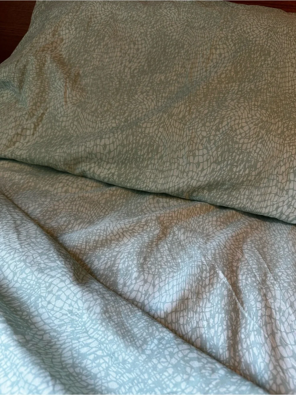 5 Items Steve Madden Sage Green Textured Full / Queen size Sheet Set Pillow
